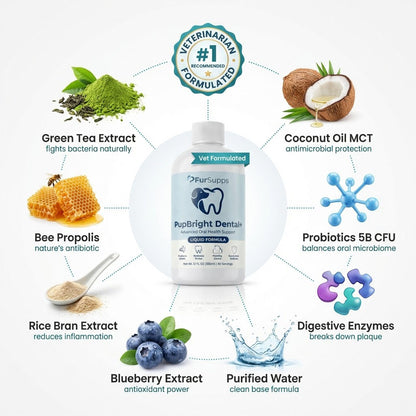 FurSupps PupBright Vet-Grade Water Additive